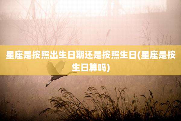 星座是按照出生日期还是按照生日(星座是按生日算吗)