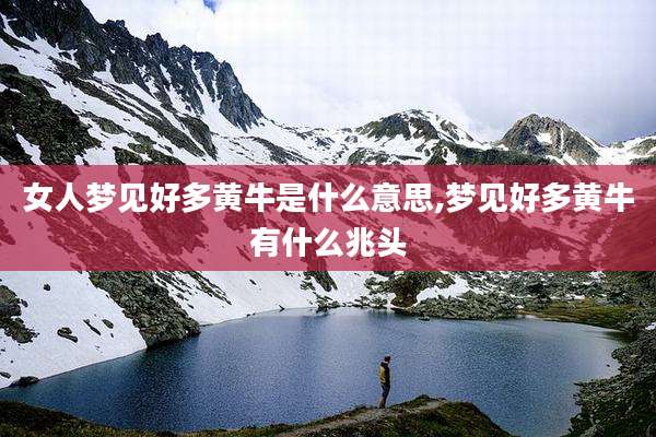 女人梦见好多黄牛是什么意思,梦见好多黄牛有什么兆头