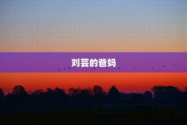 刘芸的爸妈
