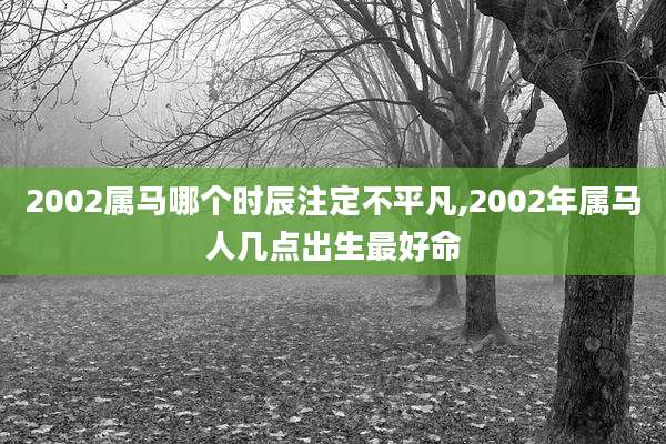 2002属马哪个时辰注定不平凡,2002年属马人几点出生最好命