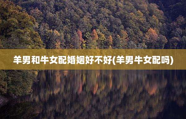 羊男和牛女配婚姻好不好(羊男牛女配吗)