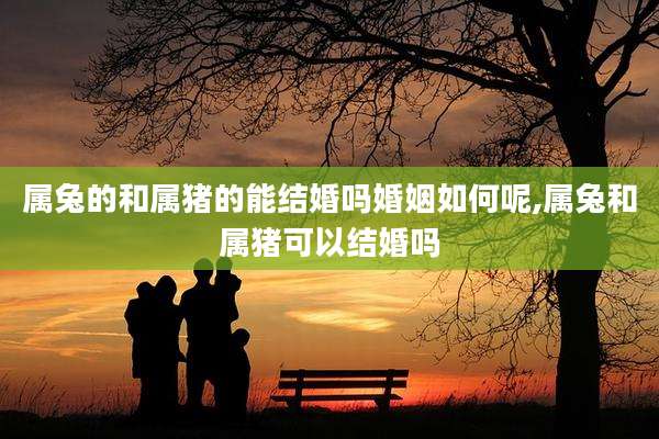 属兔的和属猪的能结婚吗婚姻如何呢,属兔和属猪可以结婚吗