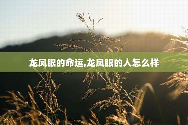 龙凤眼的命运,龙凤眼的人怎么样