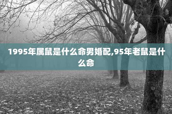 1995年属鼠是什么命男婚配,95年老鼠是什么命