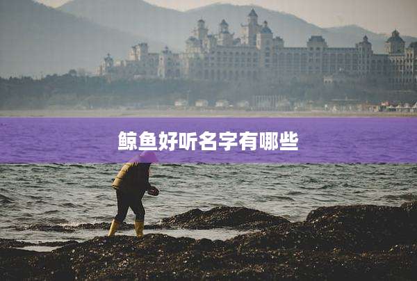 鲸鱼好听名字有哪些