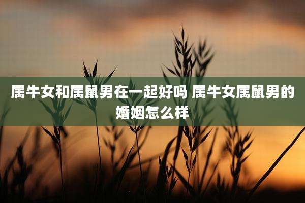 属牛女和属鼠男在一起好吗 属牛女属鼠男的婚姻怎么样