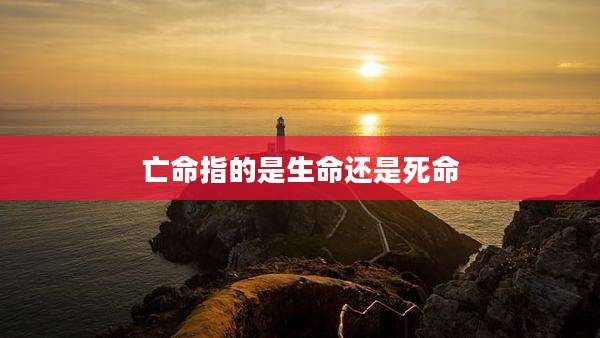 亡命指的是生命还是死命