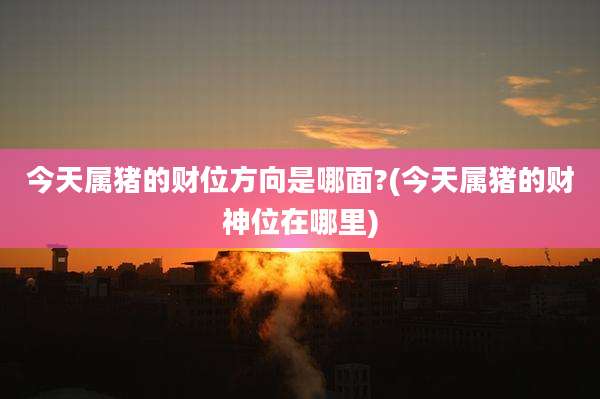 今天属猪的财位方向是哪面?(今天属猪的财神位在哪里)