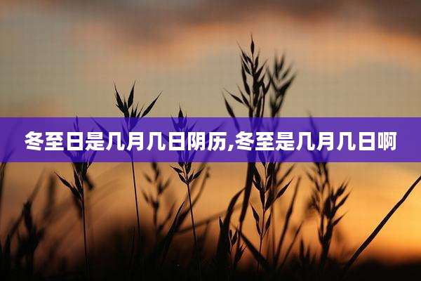 冬至日是几月几日阴历,冬至是几月几日啊