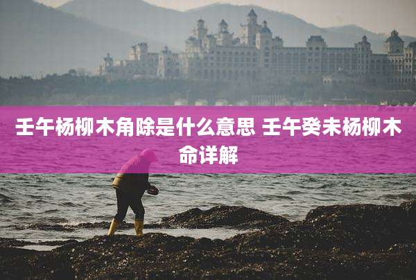 壬午杨柳木角除是什么意思 壬午癸未杨柳木命详解