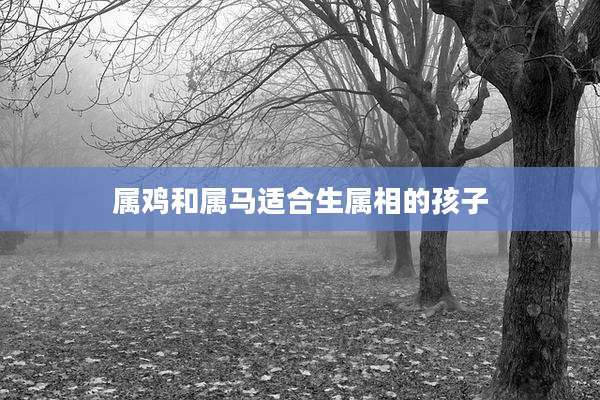属鸡和属马适合生属相的孩子