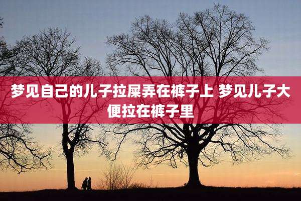 梦见自己的儿子拉屎弄在裤子上 梦见儿子大便拉在裤子里