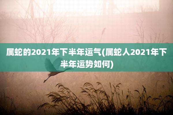属蛇的2021年下半年运气(属蛇人2021年下半年运势如何)