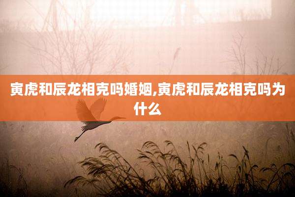 寅虎和辰龙相克吗婚姻,寅虎和辰龙相克吗为什么
