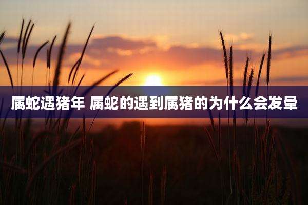 属蛇遇猪年 属蛇的遇到属猪的为什么会发晕