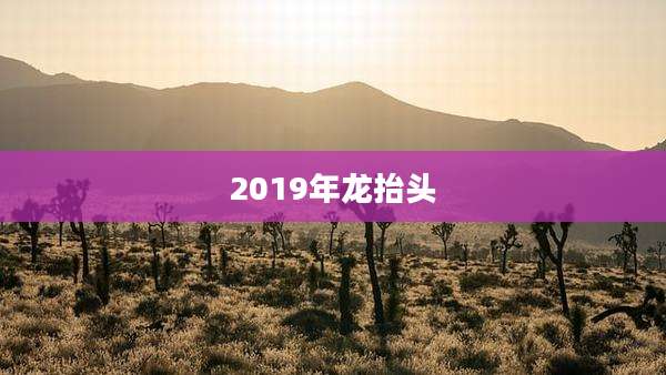 2019年龙抬头