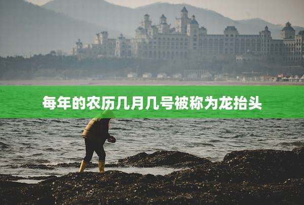 每年的农历几月几号被称为龙抬头