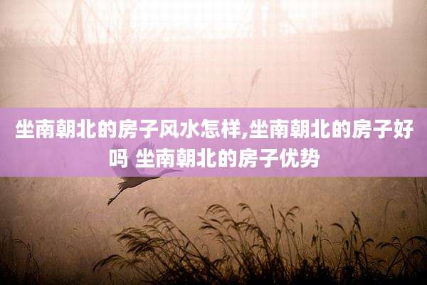 坐南朝北的房子风水怎样,坐南朝北的房子好吗 坐南朝北的房子优势