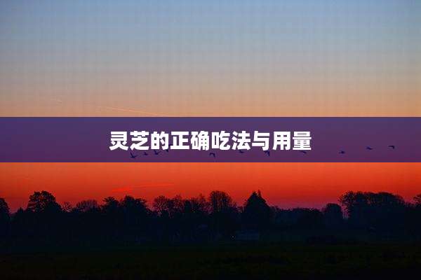 灵芝的正确吃法与用量