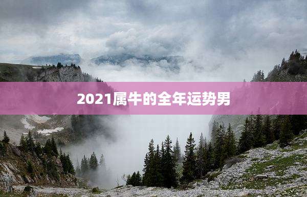 2021属牛的全年运势男