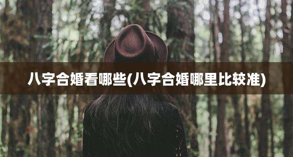 八字合婚看哪些(八字合婚哪里比较准)