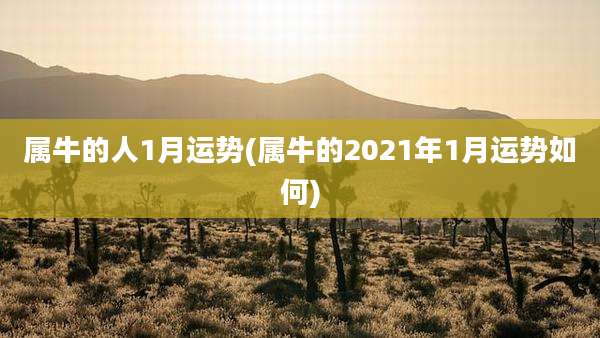 属牛的人1月运势(属牛的2021年1月运势如何)
