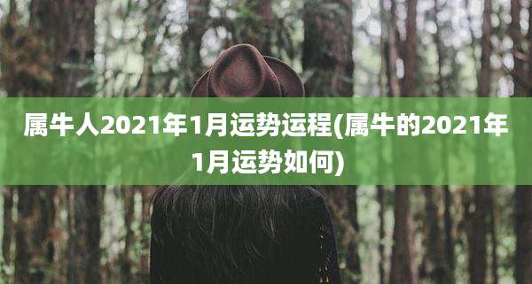 属牛人2021年1月运势运程(属牛的2021年1月运势如何)
