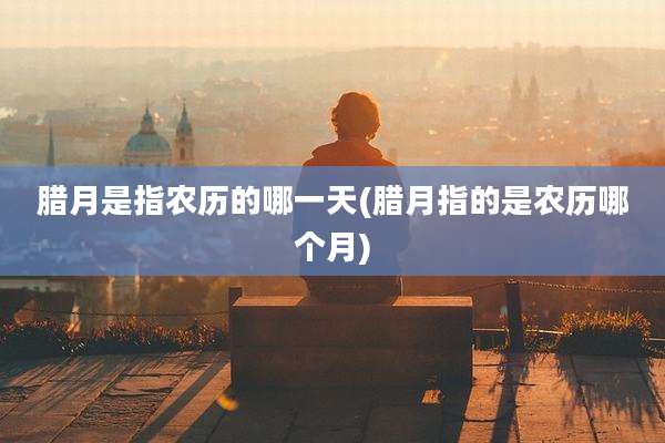 腊月是指农历的哪一天(腊月指的是农历哪个月)