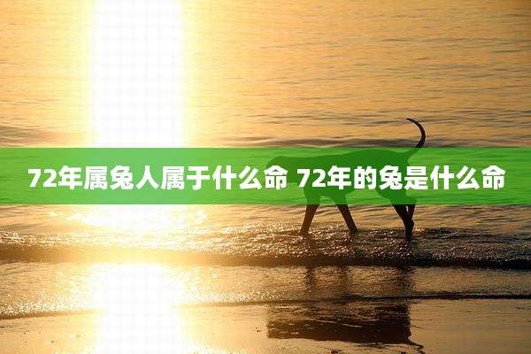 72年属兔人属于什么命 72年的兔是什么命