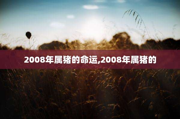 2008年属猪的命运,2008年属猪的