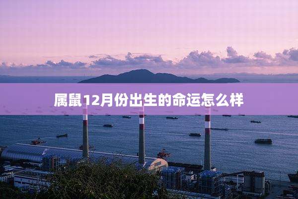 属鼠12月份出生的命运怎么样