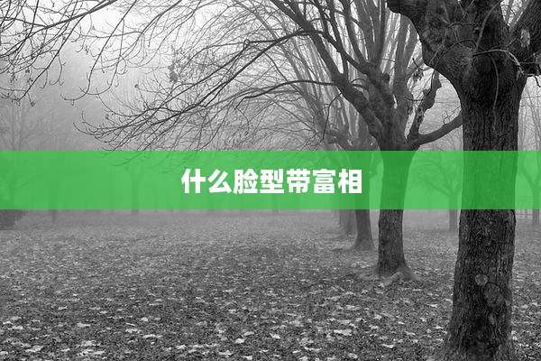 什么脸型带富相
