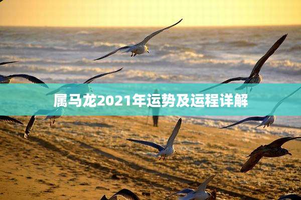 属马龙2021年运势及运程详解