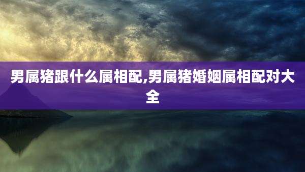 男属猪跟什么属相配,男属猪婚姻属相配对大全
