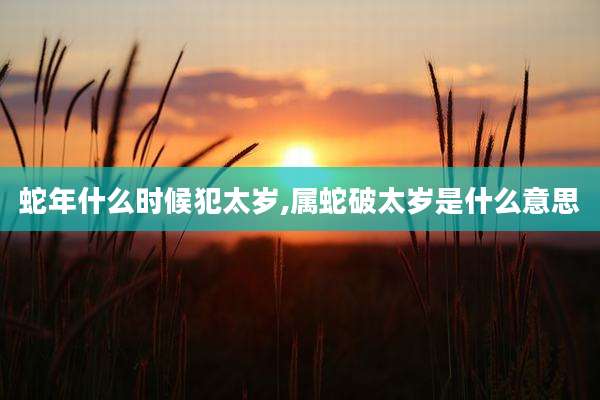 蛇年什么时候犯太岁,属蛇破太岁是什么意思