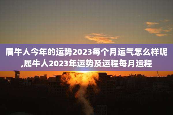 属牛人今年的运势2023每个月运气怎么样呢,属牛人2023年运势及运程每月运程