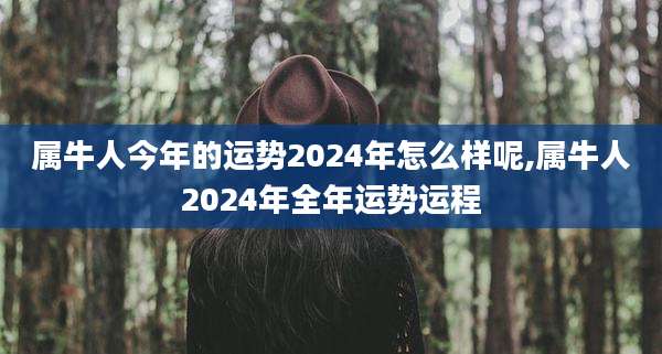 属牛人今年的运势2024年怎么样呢,属牛人2024年全年运势运程