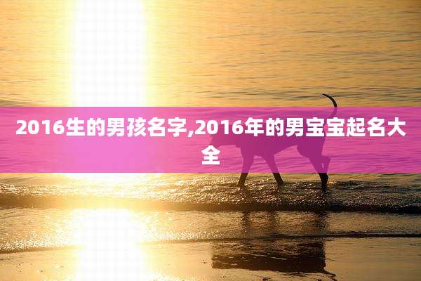 2016生的男孩名字,2016年的男宝宝起名大全