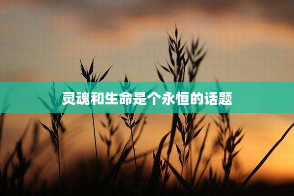灵魂和生命是个永恒的话题