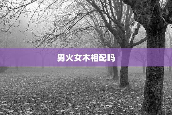 男火女木相配吗