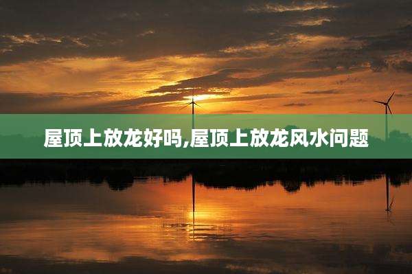 屋顶上放龙好吗,屋顶上放龙风水问题