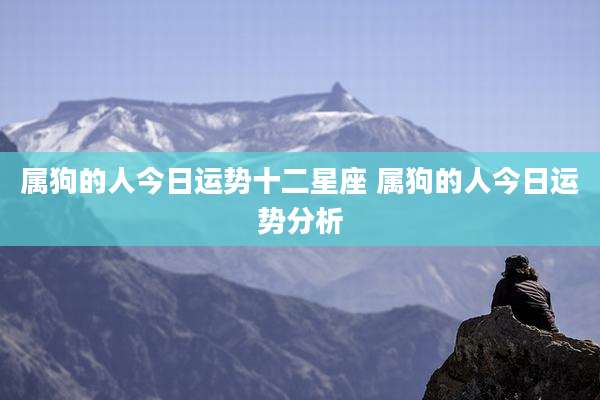 属狗的人今日运势十二星座 属狗的人今日运势分析