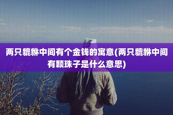 两只貔貅中间有个金钱的寓意(两只貔貅中间有颗珠子是什么意思)