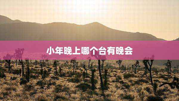 小年晚上哪个台有晚会