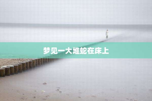 梦见一大堆蛇在床上