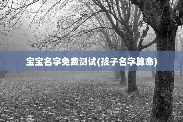 宝宝名字免费测试(孩子名字算命)