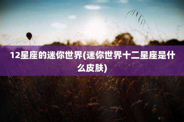 12星座的迷你世界(迷你世界十二星座是什么皮肤)