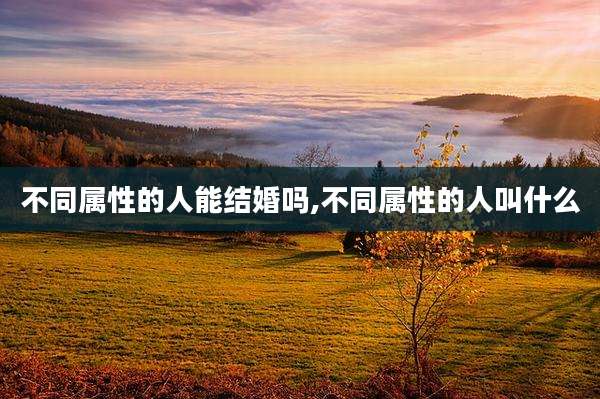 不同属性的人能结婚吗,不同属性的人叫什么