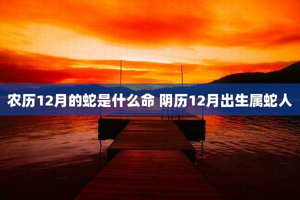 农历12月的蛇是什么命 阴历12月出生属蛇人