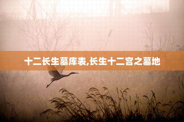 十二长生墓库表,长生十二宫之墓地